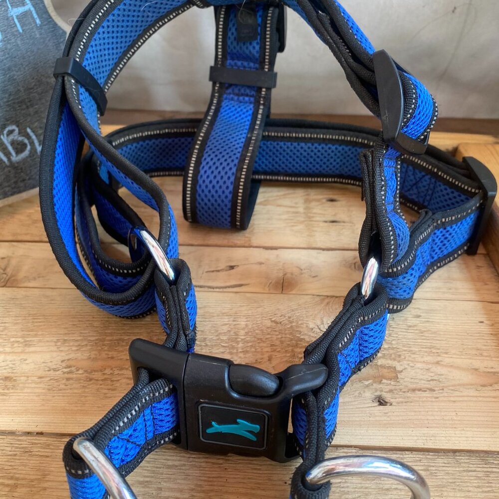Heavy Duty XL Dog Harness & Pawz Rubber Boots Bundle